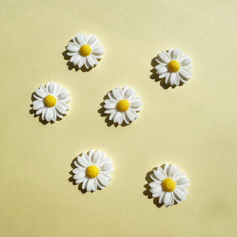 White Daisy Flower Shoe Charms