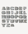 Bling Rhinestone Letter Shoe Charms in Silver